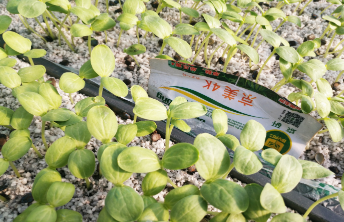 普田潤生物有機(jī)肥