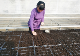 普田潤生物有機(jī)肥