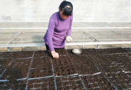 普田潤生物有機(jī)肥