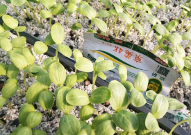 普田潤生物有機肥