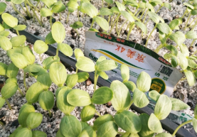 普田潤生物有機(jī)肥
