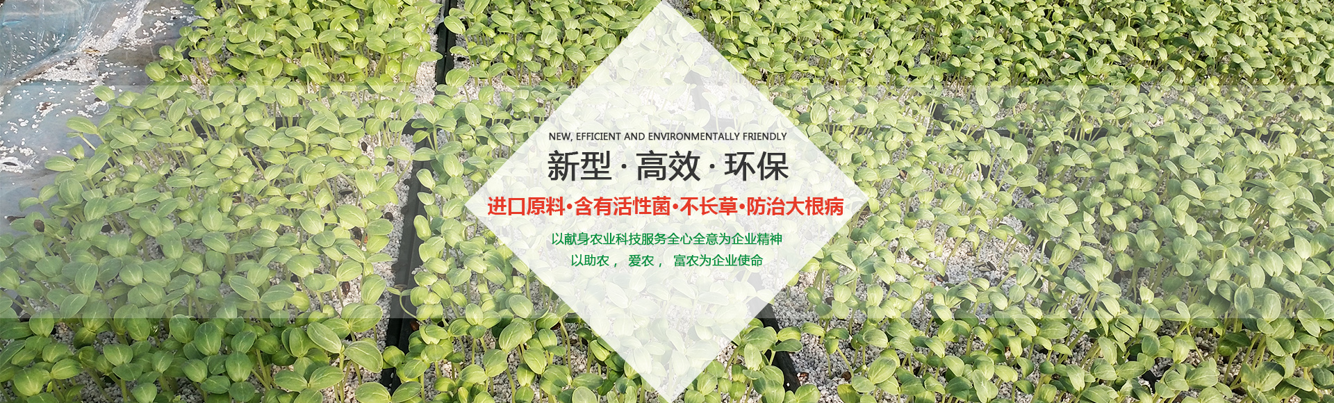 育苗基質(zhì)價(jià)格