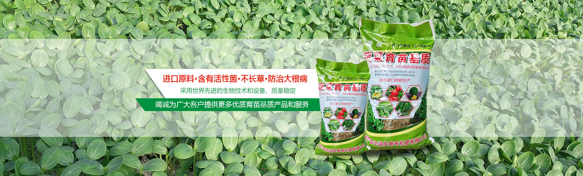 育苗基質(zhì)價(jià)格